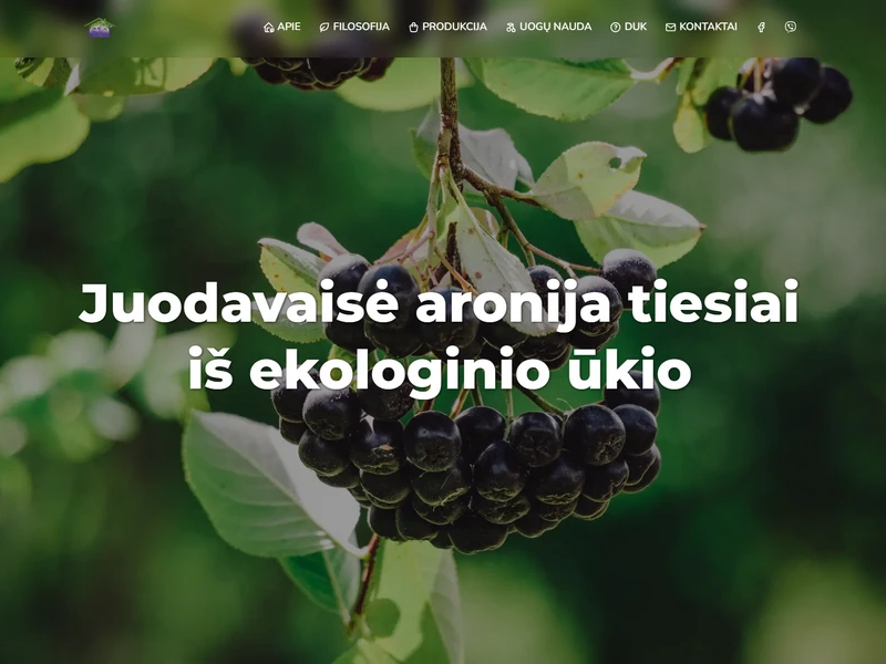 Aronijos — сайт экологической фермы аронии с локальной SEO-оптимизацией